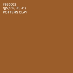 #9B5D29 - Potters Clay Color Image